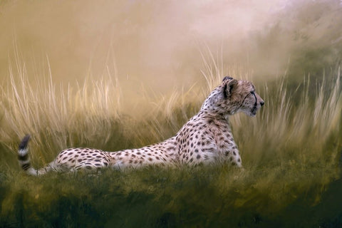 Hidden Danger Black Ornate Wood Framed Art Print with Double Matting by Parker, Kelley