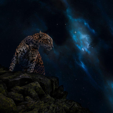 Galaxy Guardian Black Modern Wood Framed Art Print by Parker, Kelley