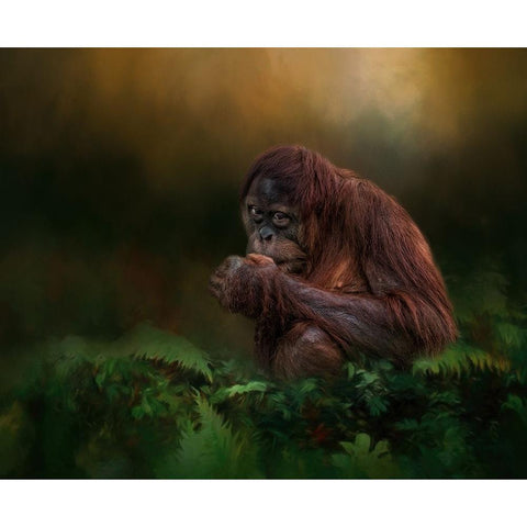 Little Man White Modern Wood Framed Art Print by Parker, Kelley