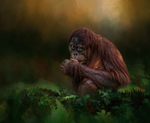 Little Man White Modern Wood Framed Art Print with Double Matting by Parker, Kelley