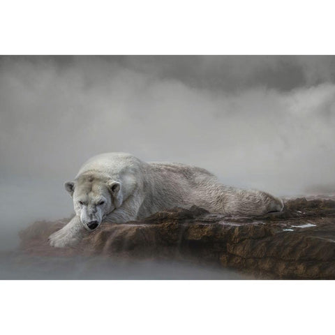 Contended White Modern Wood Framed Art Print by Parker, Kelley