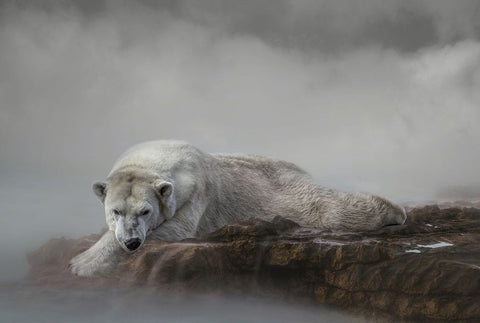 Contended Black Ornate Wood Framed Art Print with Double Matting by Parker, Kelley