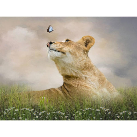 Chance Encounter White Modern Wood Framed Art Print by Parker, Kelley