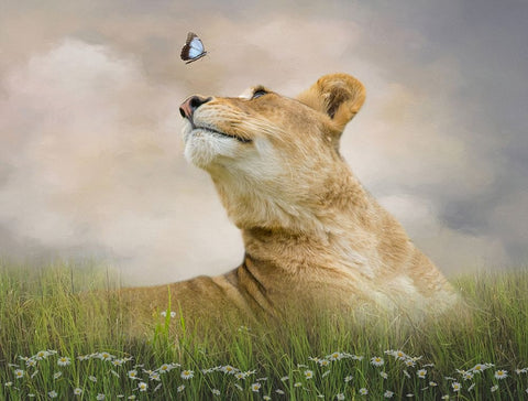 Chance Encounter Black Ornate Wood Framed Art Print with Double Matting by Parker, Kelley