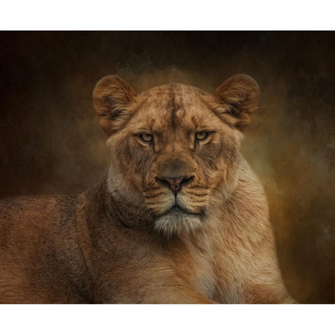 Confidence in Power White Modern Wood Framed Art Print by Parker, Kelley