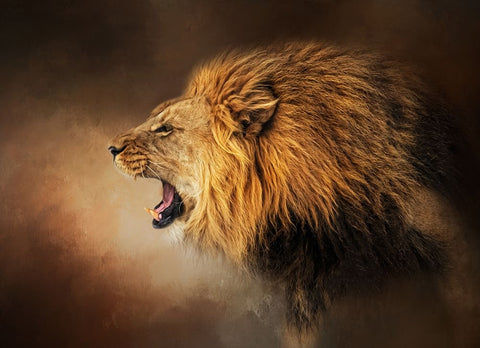 Hear Me Roar White Modern Wood Framed Art Print with Double Matting by Parker, Kelley