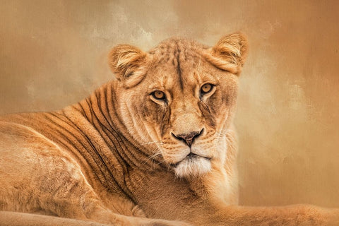 A Mighty Heart White Modern Wood Framed Art Print with Double Matting by Parker, Kelley