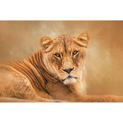 A Mighty Heart White Modern Wood Framed Art Print by Parker, Kelley