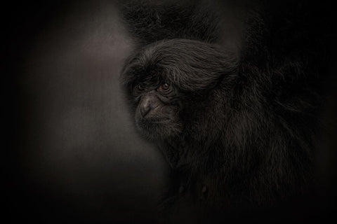 King of Swing Black Ornate Wood Framed Art Print with Double Matting by Parker, Kelley