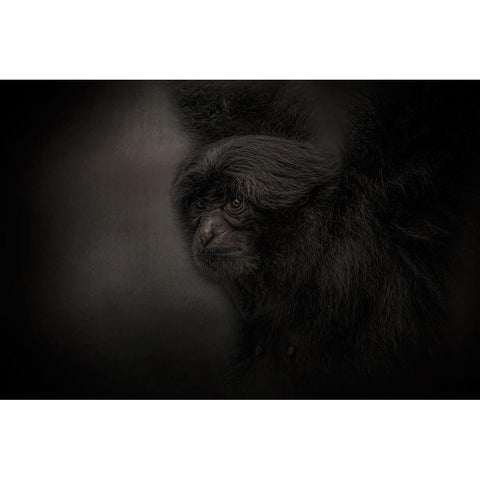 King of Swing Black Modern Wood Framed Art Print with Double Matting by Parker, Kelley