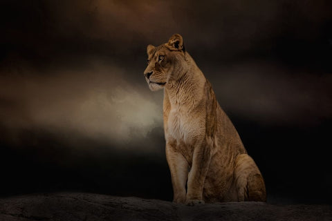 Evening Sentinel White Modern Wood Framed Art Print with Double Matting by Parker, Kelley