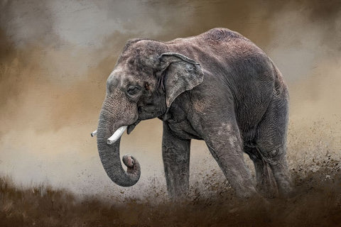 Ancient Guardian White Modern Wood Framed Art Print with Double Matting by Parker, Kelley