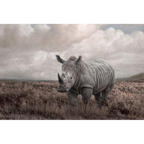 Force of Nature Black Modern Wood Framed Art Print by Parker, Kelley