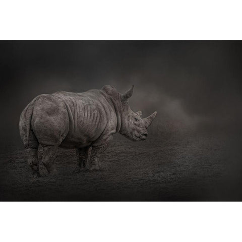 Rhino Land Gold Ornate Wood Framed Art Print with Double Matting by Parker, Kelley