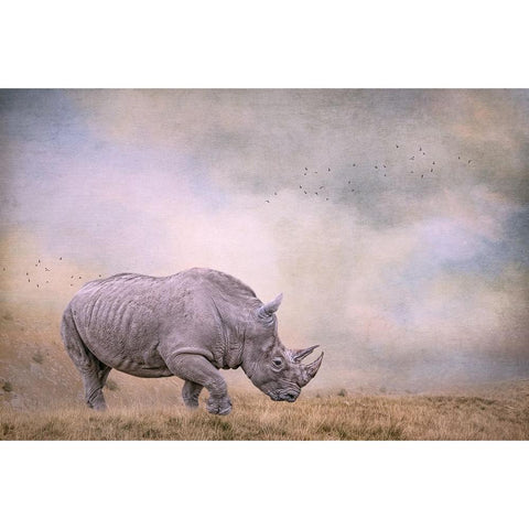 Tough Customer Black Modern Wood Framed Art Print with Double Matting by Parker, Kelley