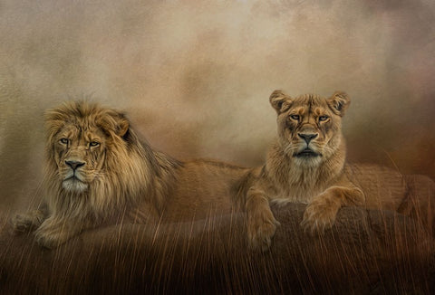 Royal Couple Black Ornate Wood Framed Art Print with Double Matting by Parker, Kelley