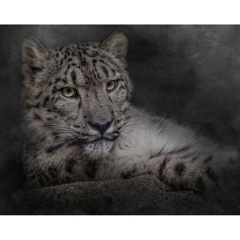 Lurking in the Shadows Black Modern Wood Framed Art Print with Double Matting by Parker, Kelley