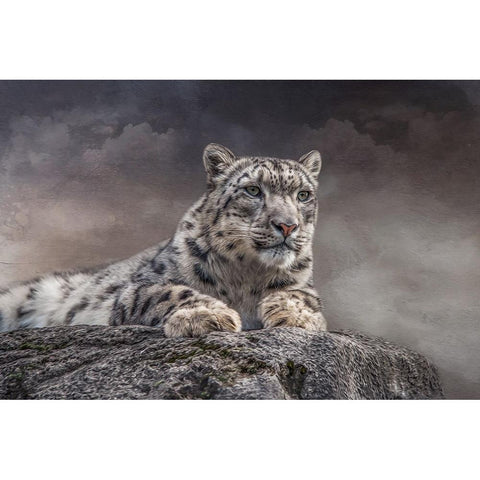 Spotted Beauty White Modern Wood Framed Art Print by Parker, Kelley