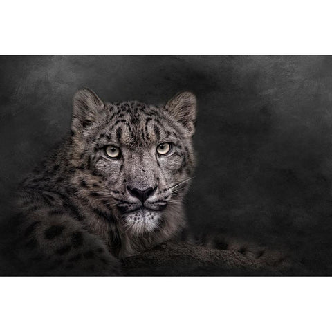 Piercing the Darkness White Modern Wood Framed Art Print by Parker, Kelley