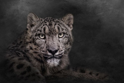 Piercing the Darkness White Modern Wood Framed Art Print with Double Matting by Parker, Kelley