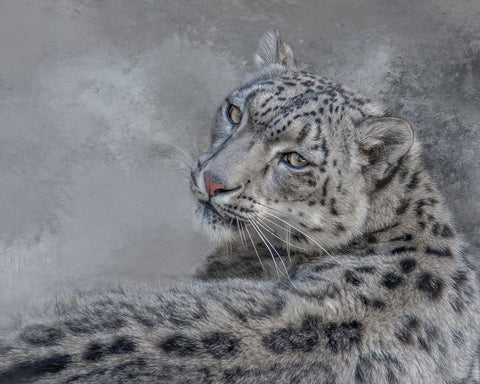 The Look White Modern Wood Framed Art Print with Double Matting by Parker, Kelley