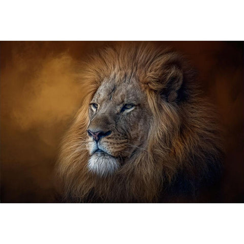 The Protector White Modern Wood Framed Art Print by Parker, Kelley