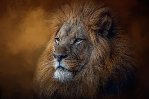 The Protector Black Ornate Wood Framed Art Print with Double Matting by Parker, Kelley