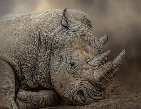 Resting Giant Black Ornate Wood Framed Art Print with Double Matting by Parker, Kelley