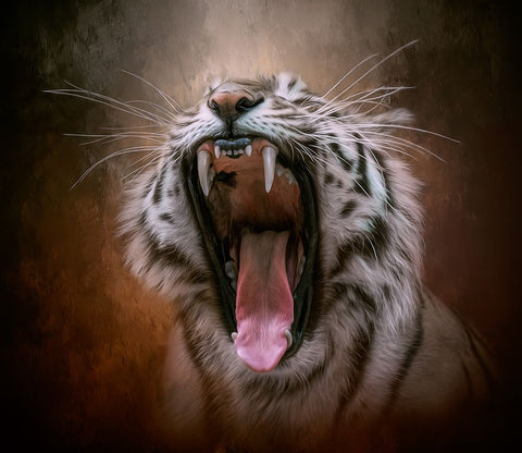 Unleashed Black Ornate Wood Framed Art Print with Double Matting by Parker, Kelley