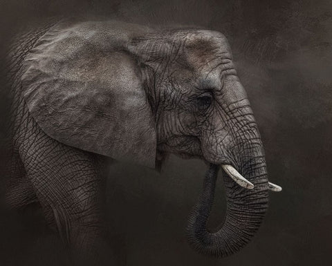 Ancient Wisdom White Modern Wood Framed Art Print with Double Matting by Parker, Kelley