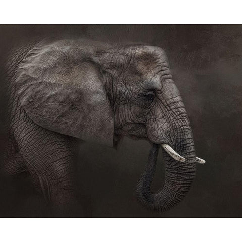 Ancient Wisdom Black Modern Wood Framed Art Print by Parker, Kelley