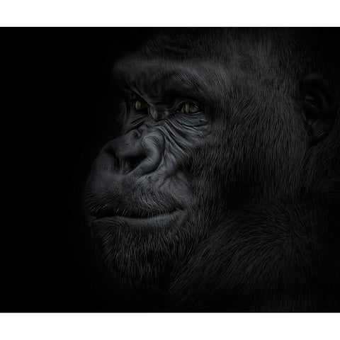 Great Ape Black Modern Wood Framed Art Print by Parker, Kelley