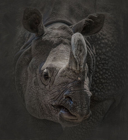 Man with an Attitude Black Ornate Wood Framed Art Print with Double Matting by Parker, Kelley