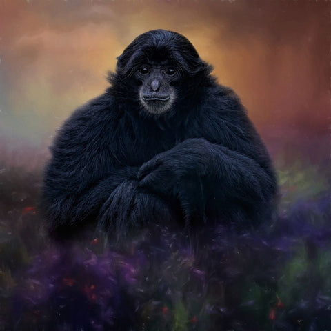 Flower Monkey Black Ornate Wood Framed Art Print with Double Matting by Parker, Kelley