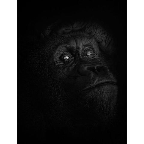 Peaceful Giant White Modern Wood Framed Art Print by Parker, Kelley