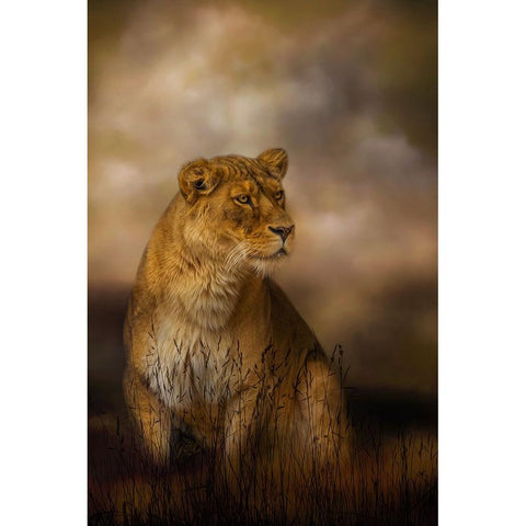 Lone Huntress White Modern Wood Framed Art Print by Parker, Kelley