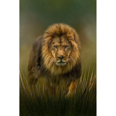 Prowling Black Modern Wood Framed Art Print with Double Matting by Parker, Kelley