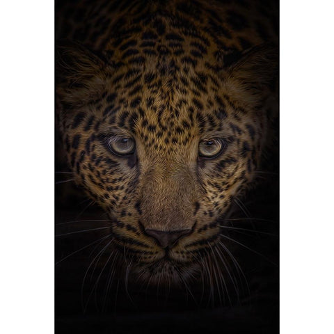 No Fear Gold Ornate Wood Framed Art Print with Double Matting by Parker, Kelley