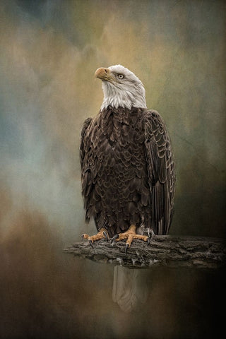 Skyward Spirit White Modern Wood Framed Art Print with Double Matting by Parker, Kelley