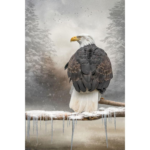 Winter Survivor Gold Ornate Wood Framed Art Print with Double Matting by Parker, Kelley