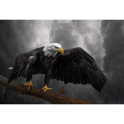 Storm Compassion White Modern Wood Framed Art Print by Parker, Kelley