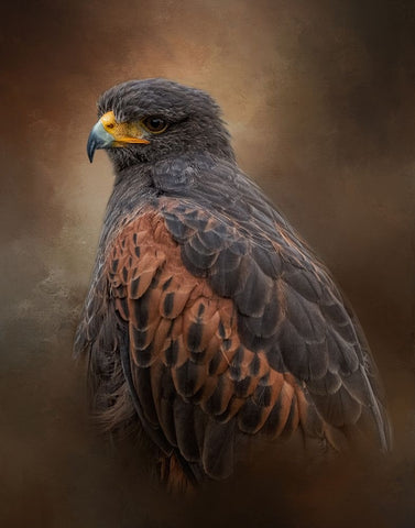 Always Alert White Modern Wood Framed Art Print with Double Matting by Parker, Kelley