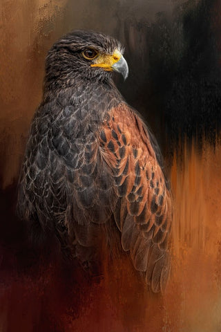 The Hunter White Modern Wood Framed Art Print with Double Matting by Parker, Kelley