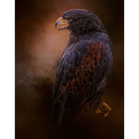 Spirit of Truth Gold Ornate Wood Framed Art Print with Double Matting by Parker, Kelley