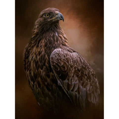 Free Spirit Black Modern Wood Framed Art Print by Parker, Kelley