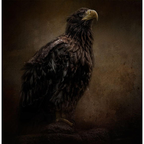 Facing the Unknown Black Modern Wood Framed Art Print by Parker, Kelley