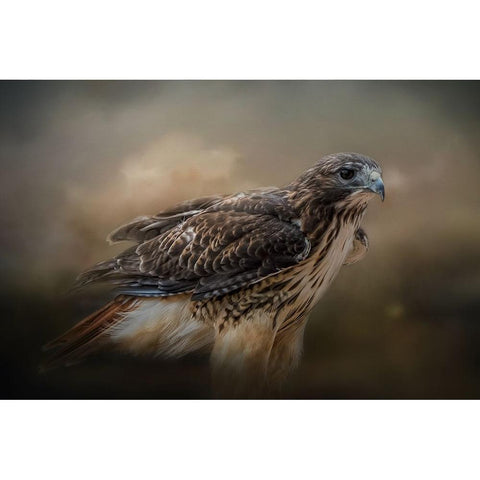 Chase the Wind Gold Ornate Wood Framed Art Print with Double Matting by Parker, Kelley