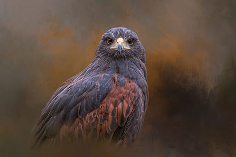 Extreme Focus Black Ornate Wood Framed Art Print with Double Matting by Parker, Kelley