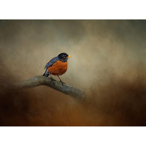 Little Charmer Gold Ornate Wood Framed Art Print with Double Matting by Parker, Kelley