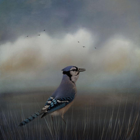 Blue Morning Black Modern Wood Framed Art Print by Parker, Kelley